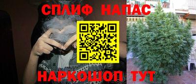 гидропоника Бузулук