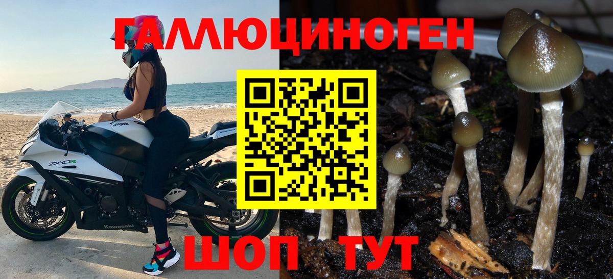 Галлюциногенные грибы Cubensis  Вход с VPN  Шуя 